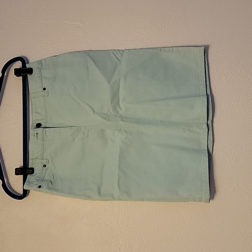 Talbots Cotton Denim Pale Mint Skirt Size 8 NWT